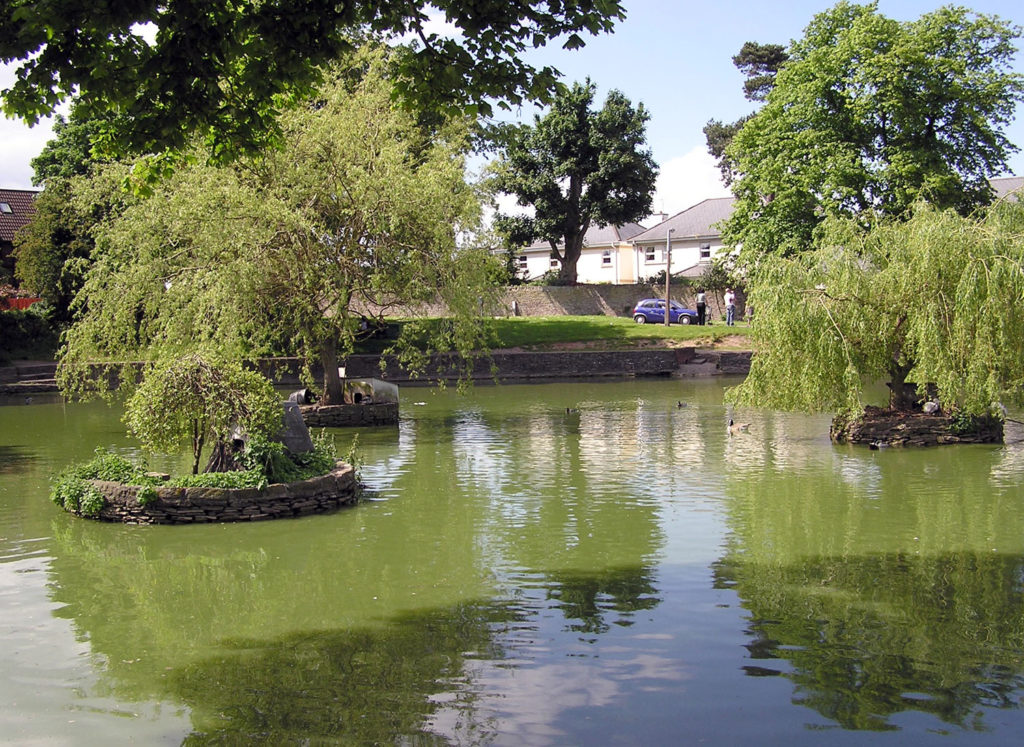 Winterbourne.pond.arp