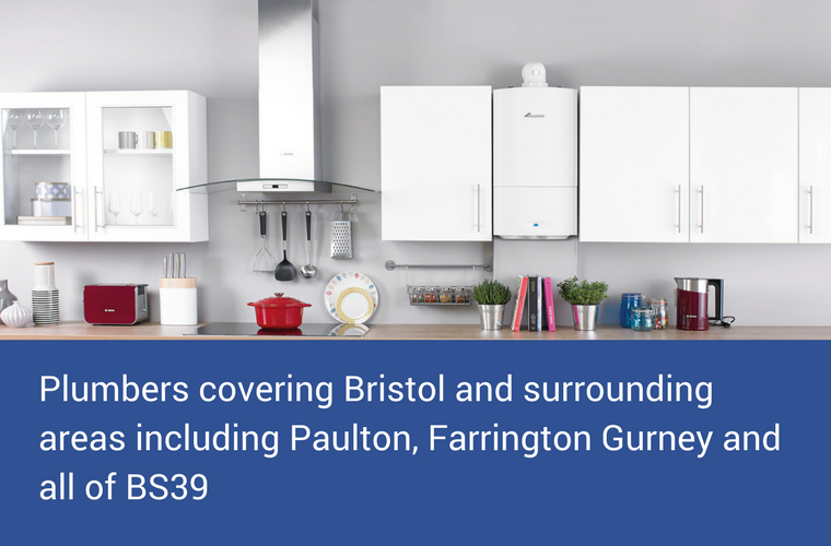Paulton Plumber
