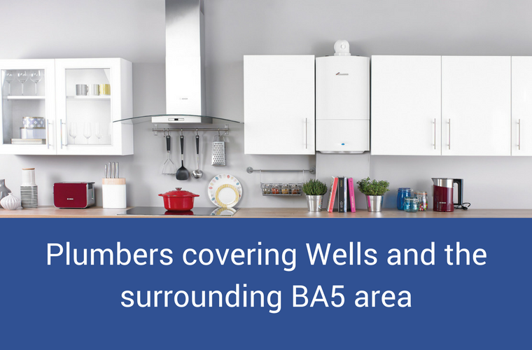 Wells Plumber