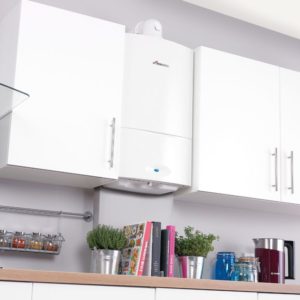 Repair Worcester Bosch Greenstar 27i-30i System