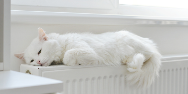bleed your systems radiators